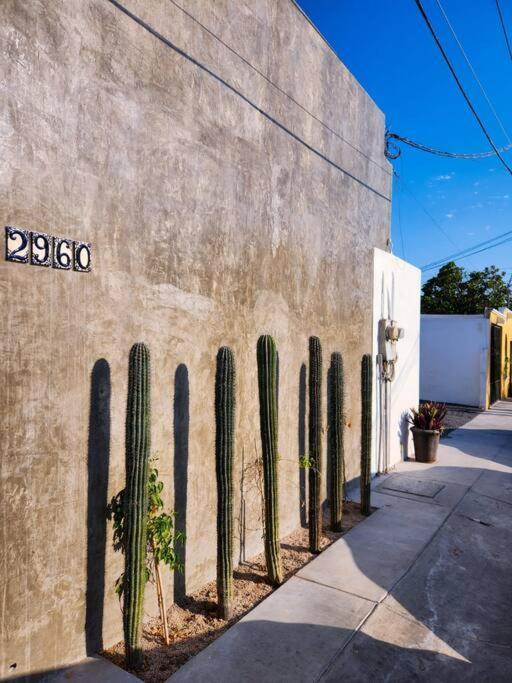 Departamento Con Terraza Lejlighed La Paz Eksteriør billede